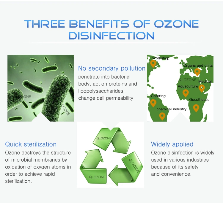 Ozone System for Fish Farming and Sewage Treatment